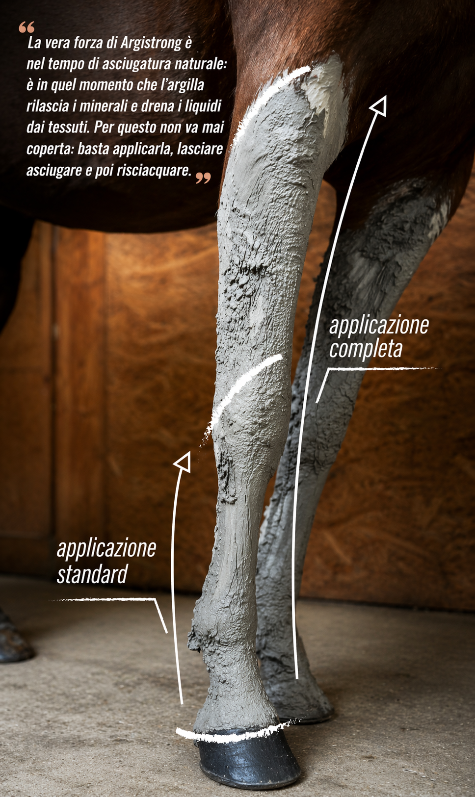 Cretata Cavalli Drenante Argistrong 1,5 kg – Argilla per Tendini e Gonfiori - immagine 2