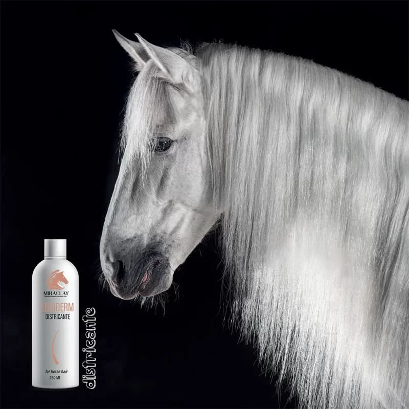 Districante Equiderm 250 ml - immagine 2