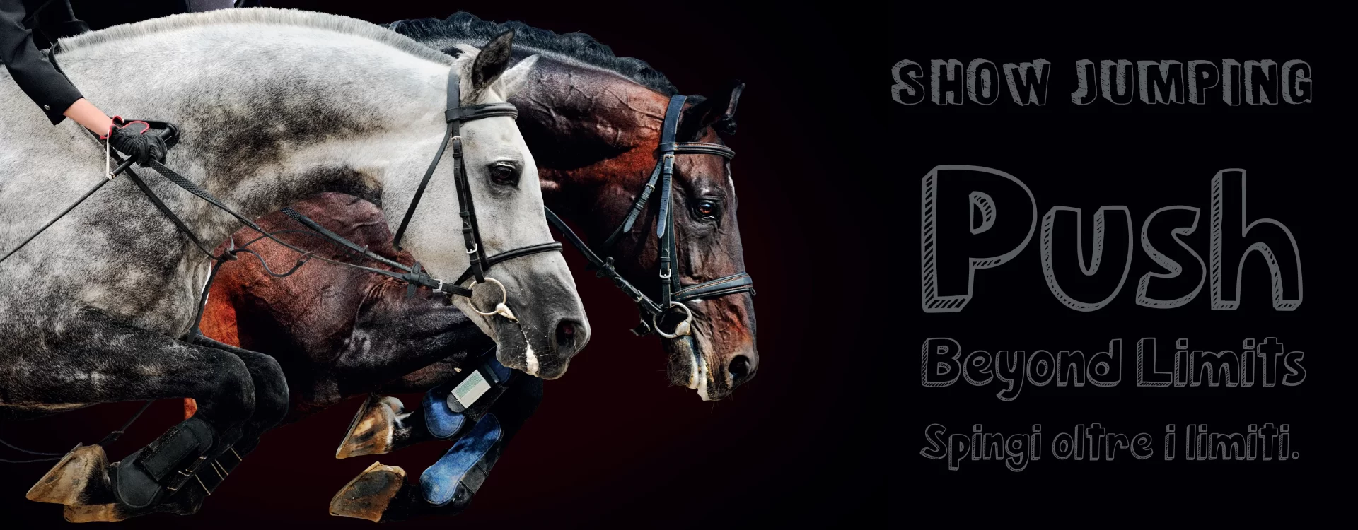 preparare il cavallo per la competizione